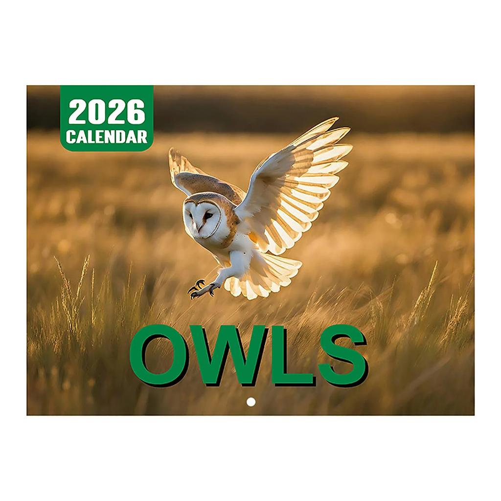 Owl Wall Calendar 2026 Featuring Diverse Owl Patterns Annual Monthly Planning Calendar Interesting Gift For Home Or Office Use