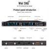 Weishu Zhen DC-10ST Professional Dual Headset Wireless Microphone System