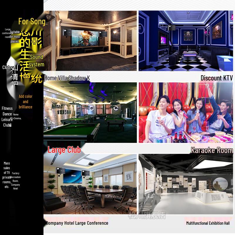 Songchuan International SP2 KTV Home Karaoke System with Smart Voice CN plug (adapter included)