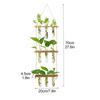 Wall Hanging Propagation Station Tiered Plant Hanger Flower Vases Wall Decor for Home Office