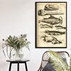 Ocean Sea Shell Fish Animal Canvas Painting Posters And Prints Wall Art Picture Vintage Life Chart Biology Decoration Home Decor