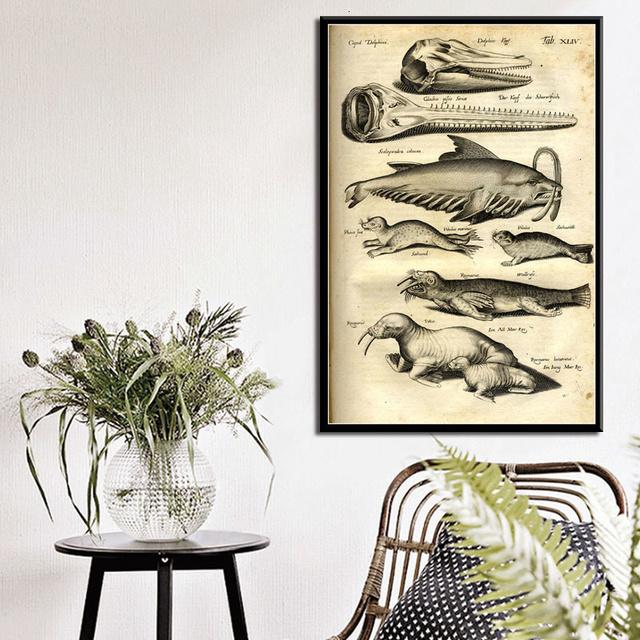 Ocean Sea Shell Fish Animal Canvas Painting Posters And Prints Wall Art Picture Vintage Life Chart Biology Decoration Home Decor