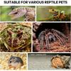 Reptile Acrylic Enclosure High Transparency Habitat Tank for Spider Mantis Gecko Corn Snake Breeding Box with Ventilation Holes