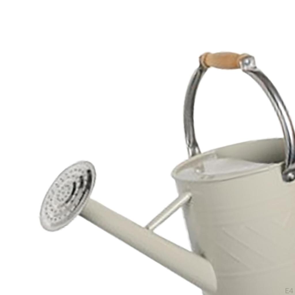 Indoor Plant Watering Can with Large Opening and Detachable Spout, Design