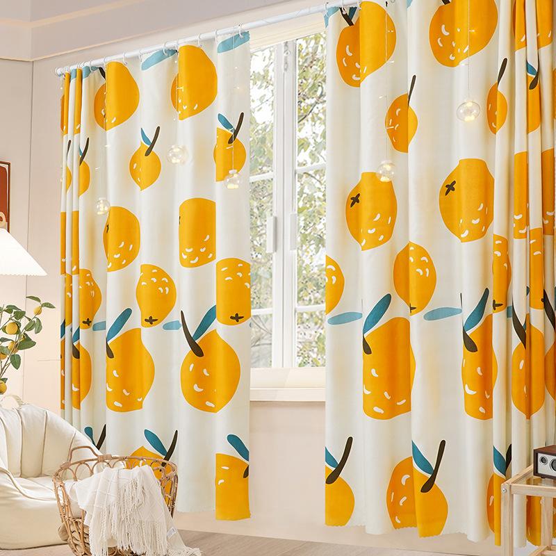 No Punching Living Room Half Blackout Curtains Simple Dark Cute Small Fresh Pastoral Room