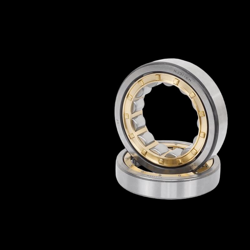 ZWZ Cylindrical Roller Bearing NJ2312EM/C4