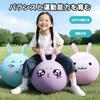 MIR Hopping Ball Balance Ball Jumping Toy for 3-Year-Olds, Boys and Girls, Baby Rabbit Design, Sensory Integration Training, Indoor Play, Birthday Gif