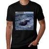 Apocalyptica Apocalyptica (2) TShirt Quick Dry Outdoor Sports TShirt