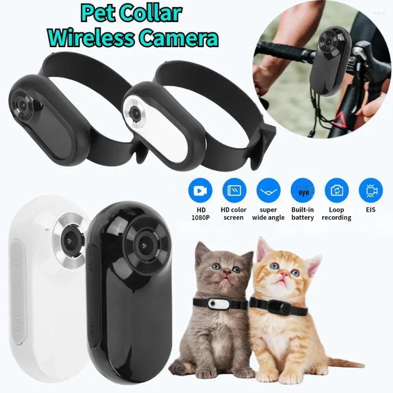 High-Definition Magnetic Pet Camera and Motion DV