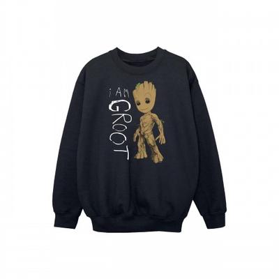Boys Guardians Of The Galaxy I Am Groot Scribbles Sweatshirt
