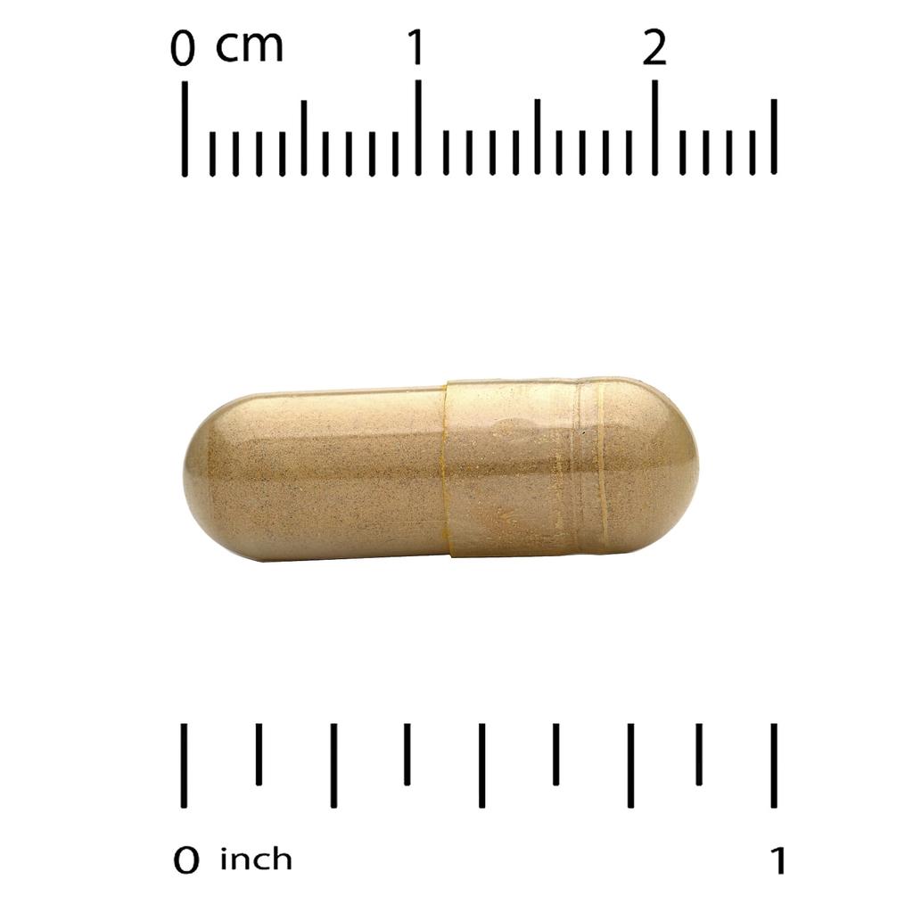 Silymarin Complex, Milk Thistle Extract, Dandelion, Artichoke, Ginger, Bioperine, 360 Veggie Capsules