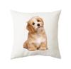 45x45cm Cute Cat Cushion Cover Polyester Throw Pillow For Bed Living Room Sofa Office Seat Car Kids  Decor Home