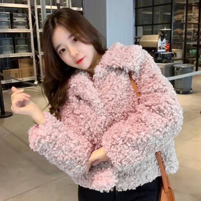 Lamb wool imitation fur jacket autumn and winter fashion warm short wool sweater casual socialite small