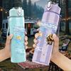 1PC Snow mountain frozen landscape print 750ml colorful plastic sports water bottle leakproof pop up lid with straw for outdoor work home use
