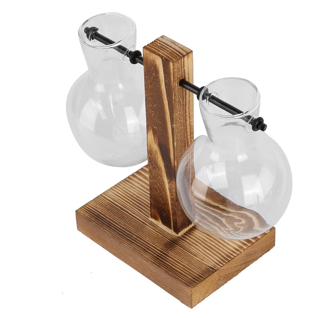 Innovative Planter Vase with Wooden Stand Transparent Glass Hydroponics Vase Desktop DecorationType