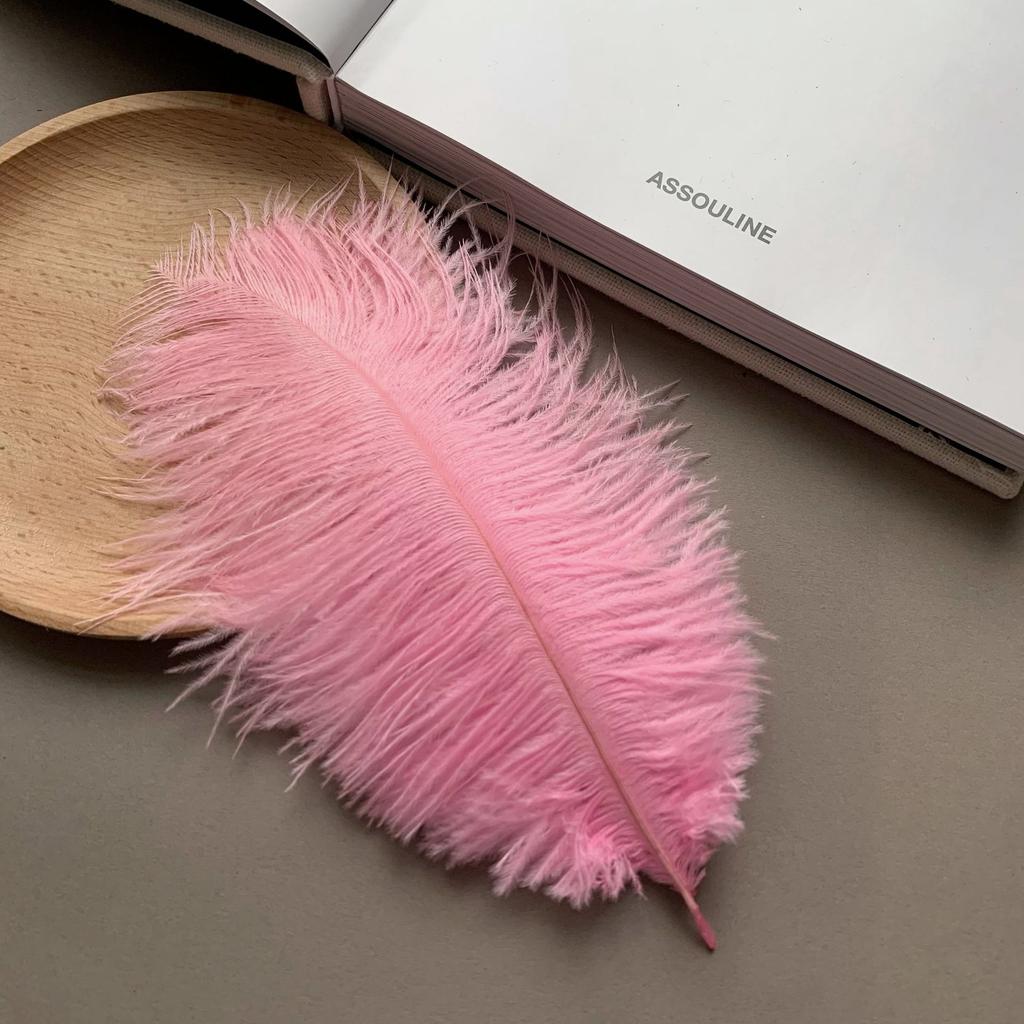 Color ostrich hair 15-20CM ostrich feather Internet celebrity photo background wall feather cake flower arrangement DIY decoration