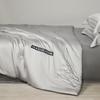 HLA Antibacterial Ice Silk Summer Quilt