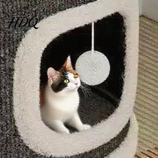 Katzenkratzbaum Turm Kletterspiel Sisalmatte für Höhlen Mehrstöckige Tonne mit Mehrkatzenfamilie Soziale Katzen