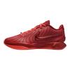 LeBron 21 James Gang
