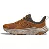 Anacapa 2 Low Gore Tex Honey Barley 1141632-HLY