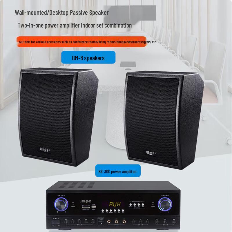 Weishu BM-8 10-inch Wall-Mounted Passive Speaker System