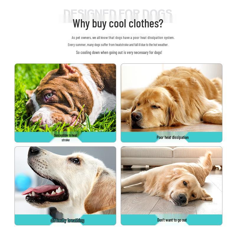 Summer Dog Cooling Vest: Lightweight, Breathable Heat Relief for Pets
