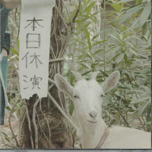 

CD - Honjitsu Kyuen MRCD5663 MIROKU Japan Japanese Pop/Rock Used