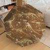 1 szt. Wykopaliska skamieniałości dinozaurów Parasol - 8-żebrowy Wzmocniony Przenośny Składany Podróżny Odpowiedni na Wszystkie Pory Roku Zewnętrzne Codzienne Użytkowanie -J0358