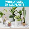 2025 NEW 3D Funny Lazy Guy Planter Pot Resin Succulent Resin Indoor Cute Character Smily Face Miniature Plant Cactus Outdoor Rocking Mini Man Little