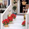 1 Stück Künstliche Geranien Seidenblumen Outdoor Bush Faux Blume für Hochzeit Home Party Decor Garten Friedhof Tischdekoration