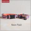 PLATTCO Custom Pet Dog Leash & Imitation Nylon Collar PDC308