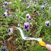 Manual Hand Weeder With Wooden Handle Garden Farmland Puller Removal Cutter Seedling Transplanting Tool Weed Shovel