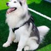 Dog Vest Adjustable Training Harness for Large Medium Dogs Backpack Strong Heavy Duty Harness Soft Handle