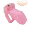 Male Chastity Cage Device Small/Standard Cock Cage with Rings Erotics Urethral Brass Lock Locking Sex Toys for Men Adults