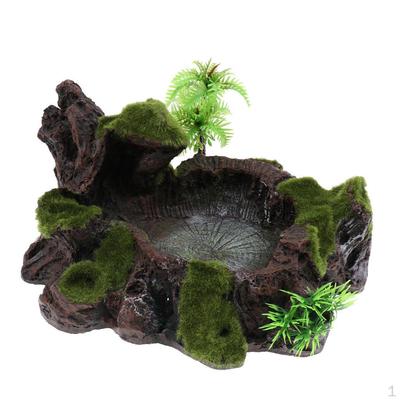 Sürüngen – Sürüngen Terraryumları