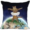 Bedroom Home Office Decor Pillowcase Square  Funny Cat Animal