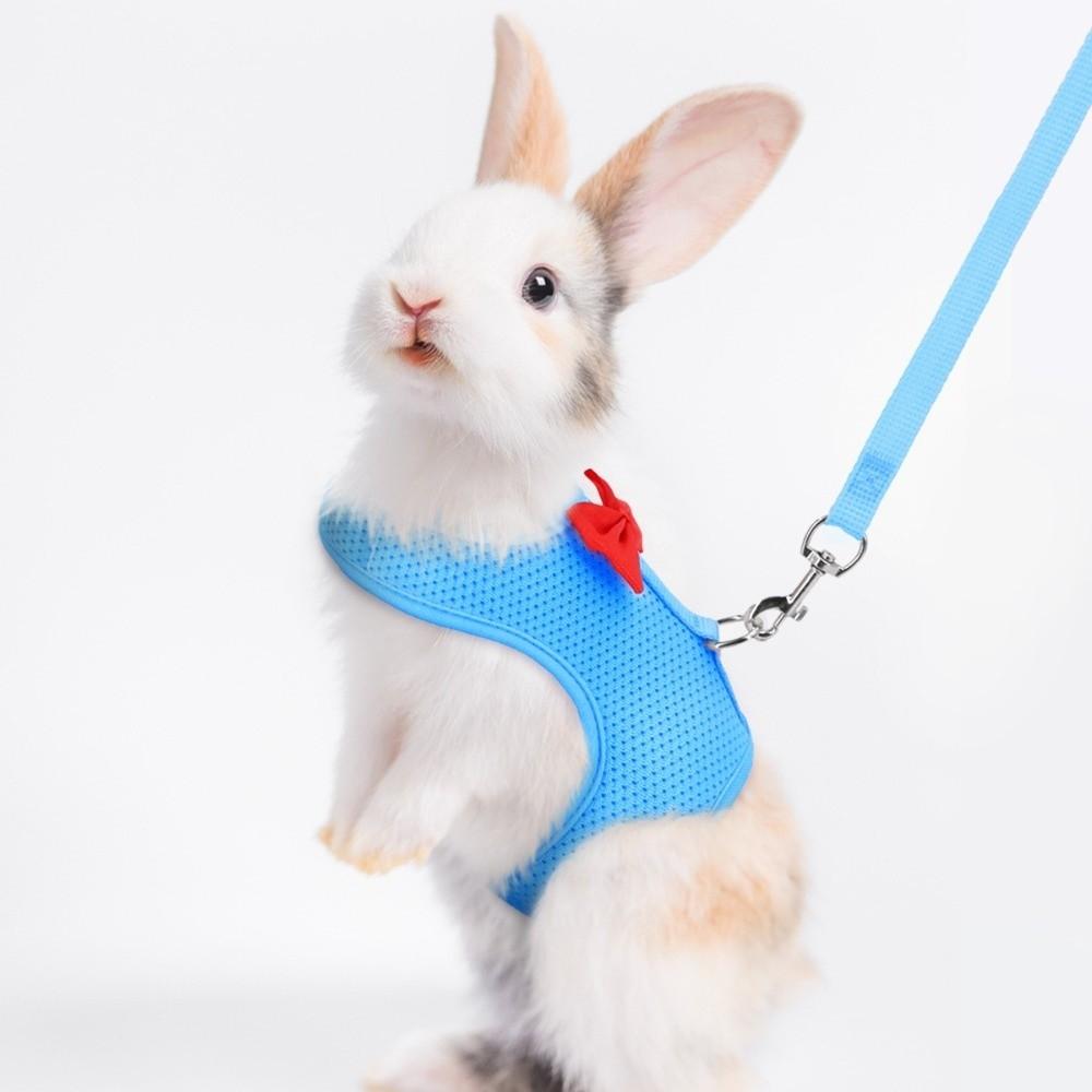 Polyester Rabbit Harness Vest Breathable Pet Walking Leash New Bunny Harness Leash  Small Pets Use