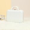 PACKAGE FASHION Portable Makeup Travel Case