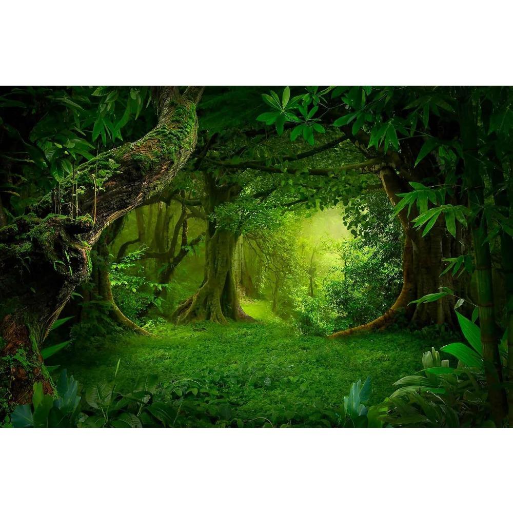 Rainforest Wall Mural Jungle Green Nature Landscape Wallpaper for Living Room Decor