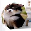 1pc animal Umbrella Portable Folding Umbrella Iron Frame Hole Bone Structure Outdoor Home Umbrella