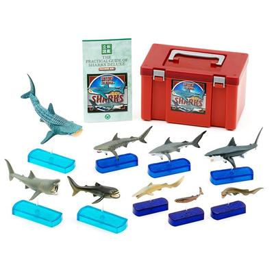 Carolata Shark Family 3D Encyclopedia 9 Species Includes Instruction Manual and Realistic Figure Box Toy Educational Toy Gift Present Food Sanitation