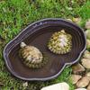 Reptile Bathing Dish Tortoise Feeder Amphibians Habitat Reptile Water Food Bowl Feeding Dish for Bearded Dragons Turtle