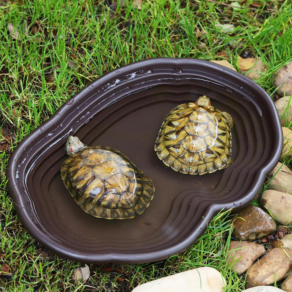 Reptile Bathing Dish Tortoise Feeder Amphibians Habitat Reptile Water Food Bowl Feeding Dish for Bearded Dragons Turtle