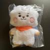 [USED] BTS BT21 RJ Tatton Baby Plush Toy S Jin