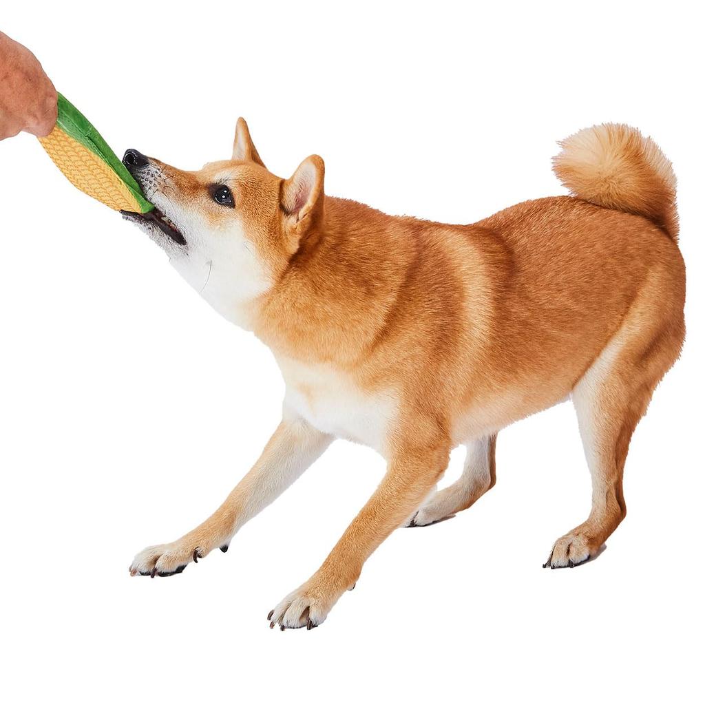 Petio Hundespielzeug Zahnpasta MAIS Waschbar!