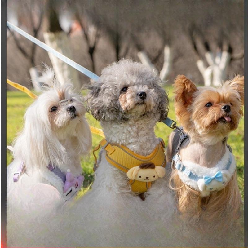 Dog Leash, Small Dog Leash, Chest and Back Strap, Bichon Frise Teddy, Cute Dog Walking, Pet Extendable