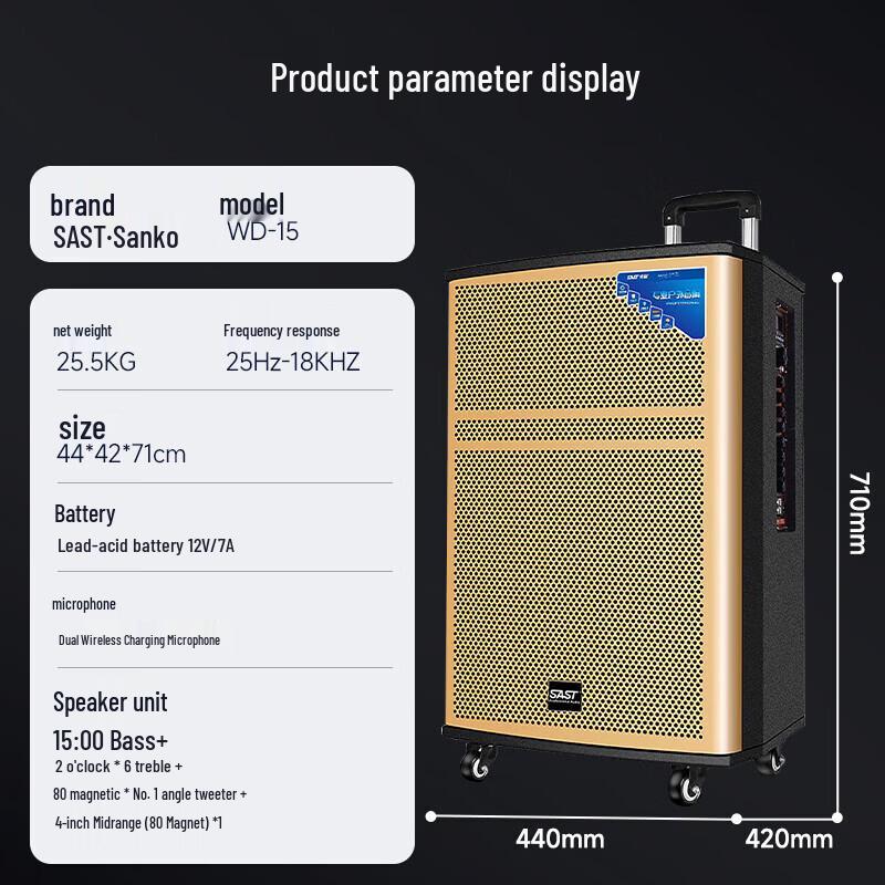 SAST WD-15 15-inch High-Power Bluetooth Stage Speaker (CN version)