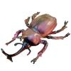 Large sized insect animal simulation model, spider, locust, scorpion, ant, unicorn fairy, children's educational cognitive ornam