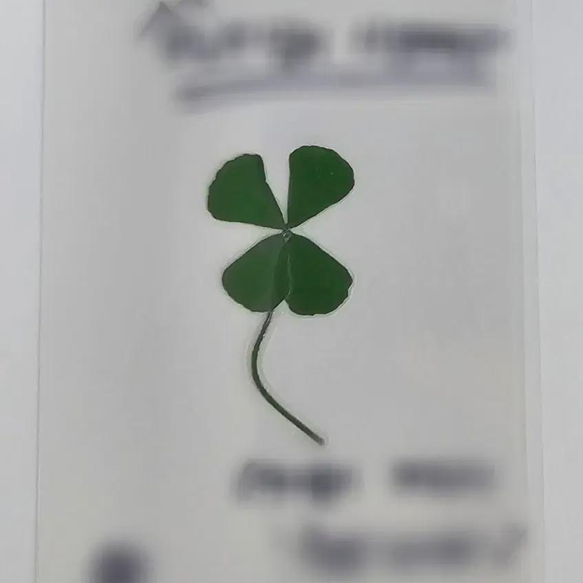 

Hearts To Hearts Aina Lucky Card Is On Sale