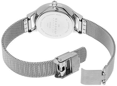 SKAGEN Anita Steel Mesh SKW2149, Silver Mesh Analog Women's Stainless Steel Quartz Watch [Parallel Import]